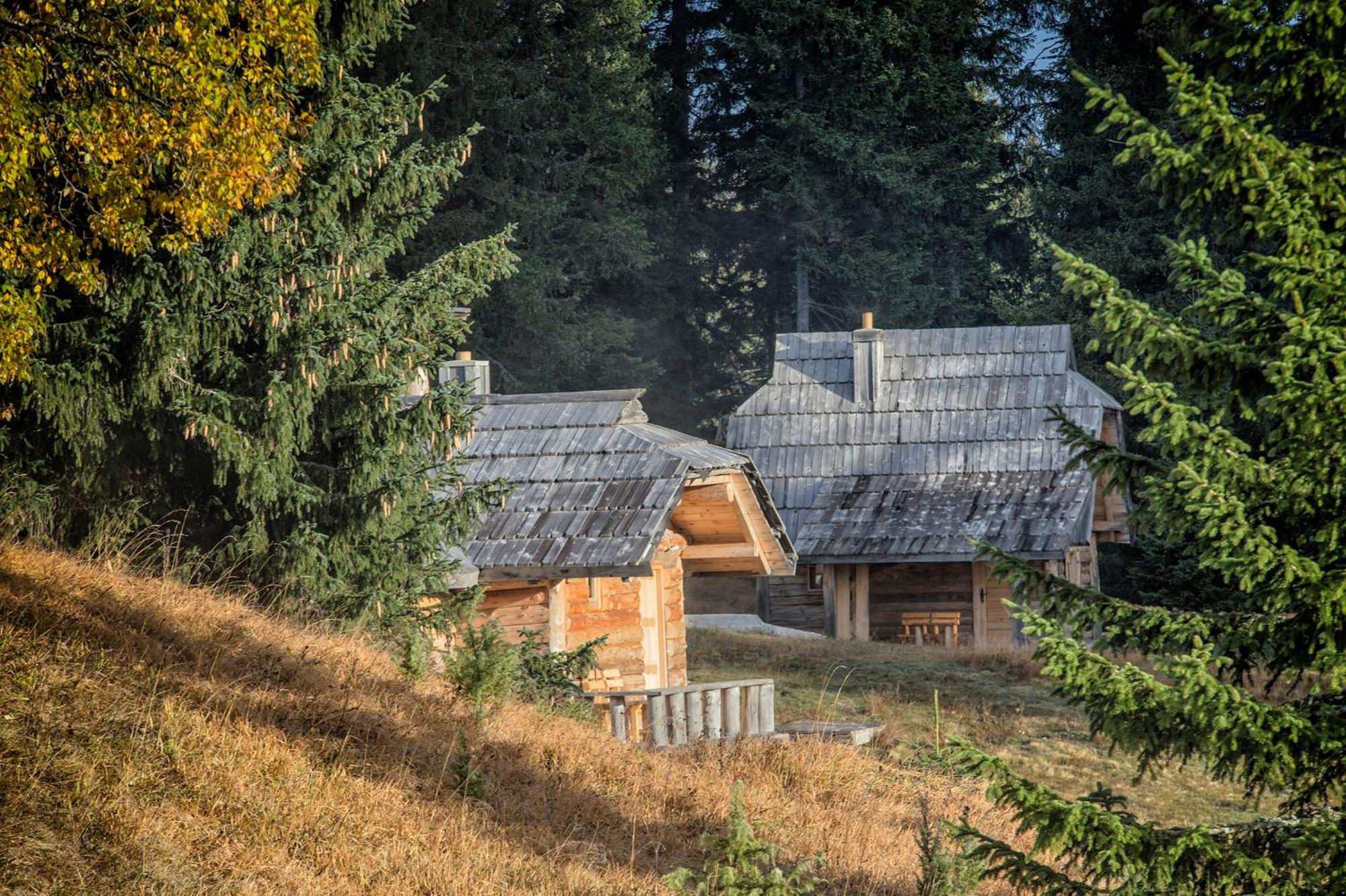 Nadgora Lodge